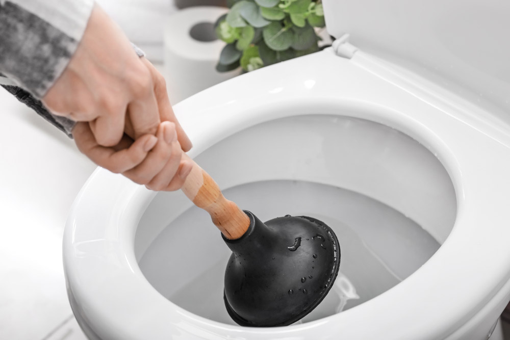Person using a plunger on a toilet in Seattle, WA Person using a plunger on a toilet in Seattle, WA