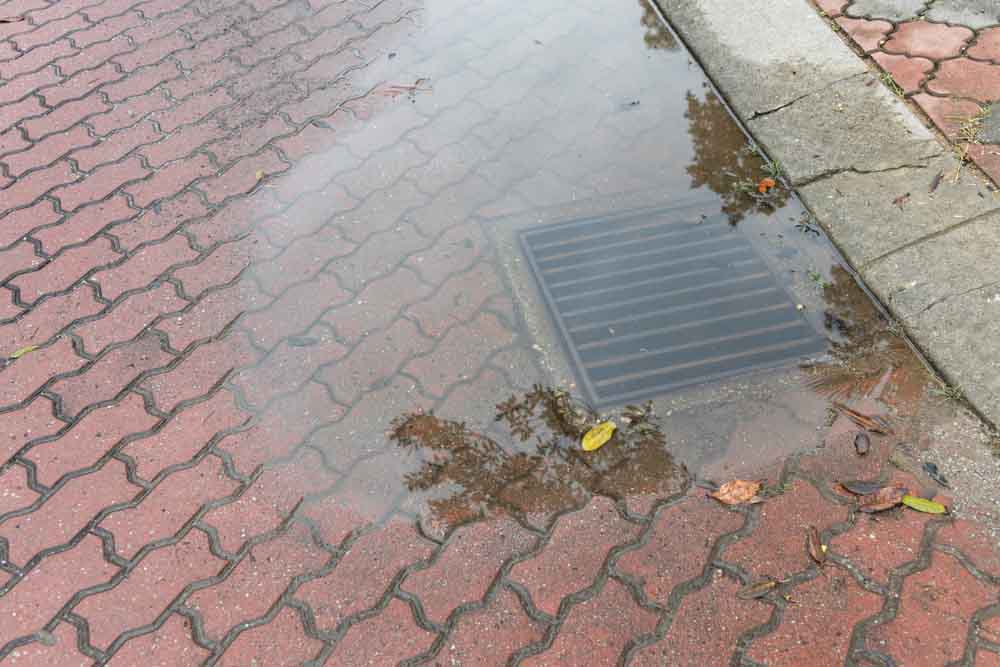 outdoor drain with backup outdoor drain with backup