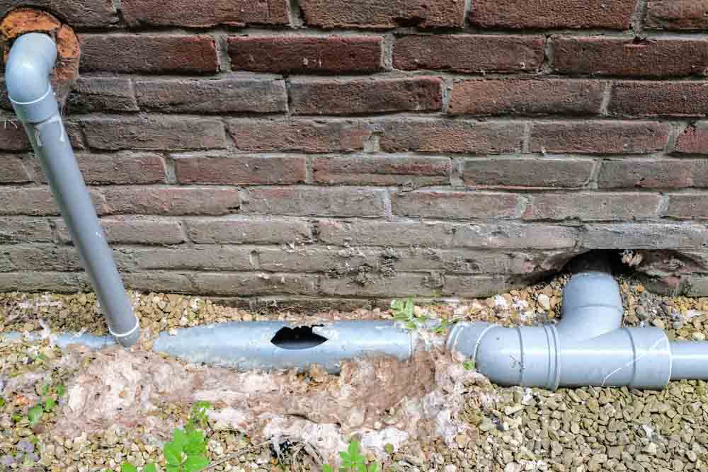 damaged sewer pipe repair Bellevue, WA damaged sewer pipe repair Bellevue, WA