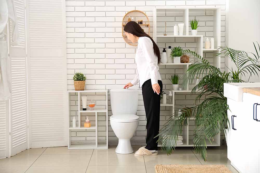 a person flushing the toilet a person flushing the toilet