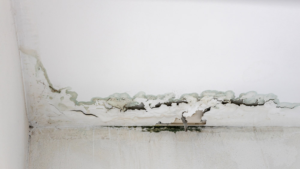 White,Concrete,Wall,And,Ceiling,Background,In,The,Corner,Of White concrete wall and ceiling background in the corner of the indoor room which has been peeling and damaged by rain water seepage for a long time.