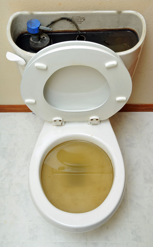 an overflowing toilet an overflowing toilet