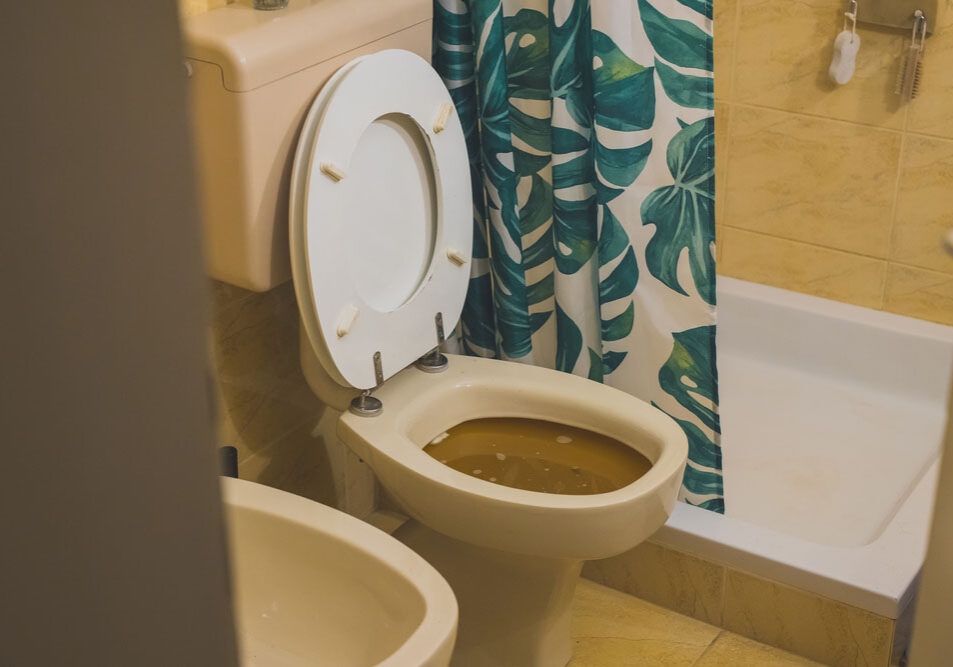 toilet with backup