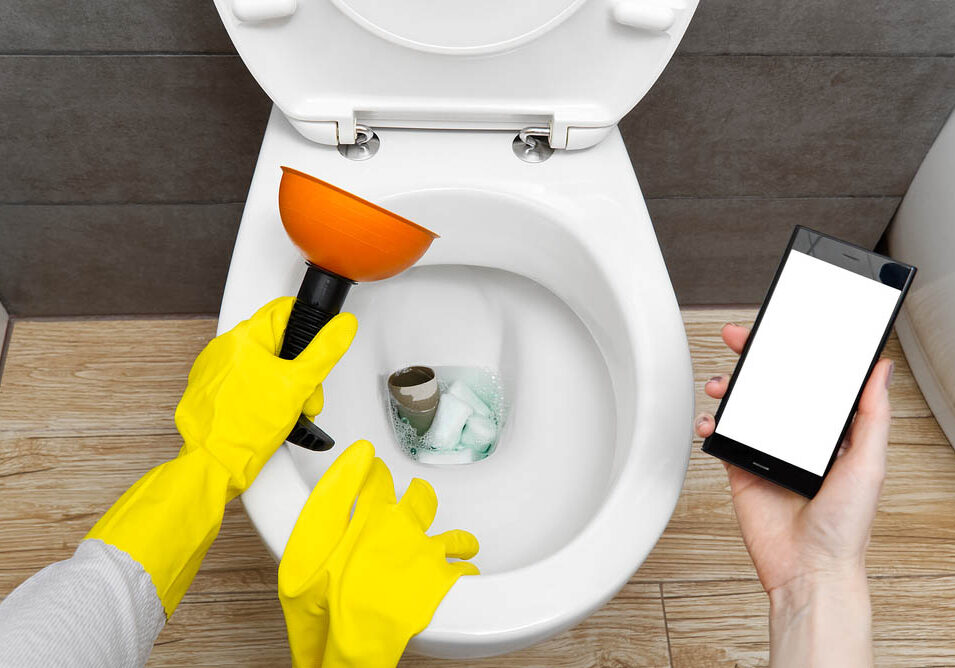 Overfllowing toilet