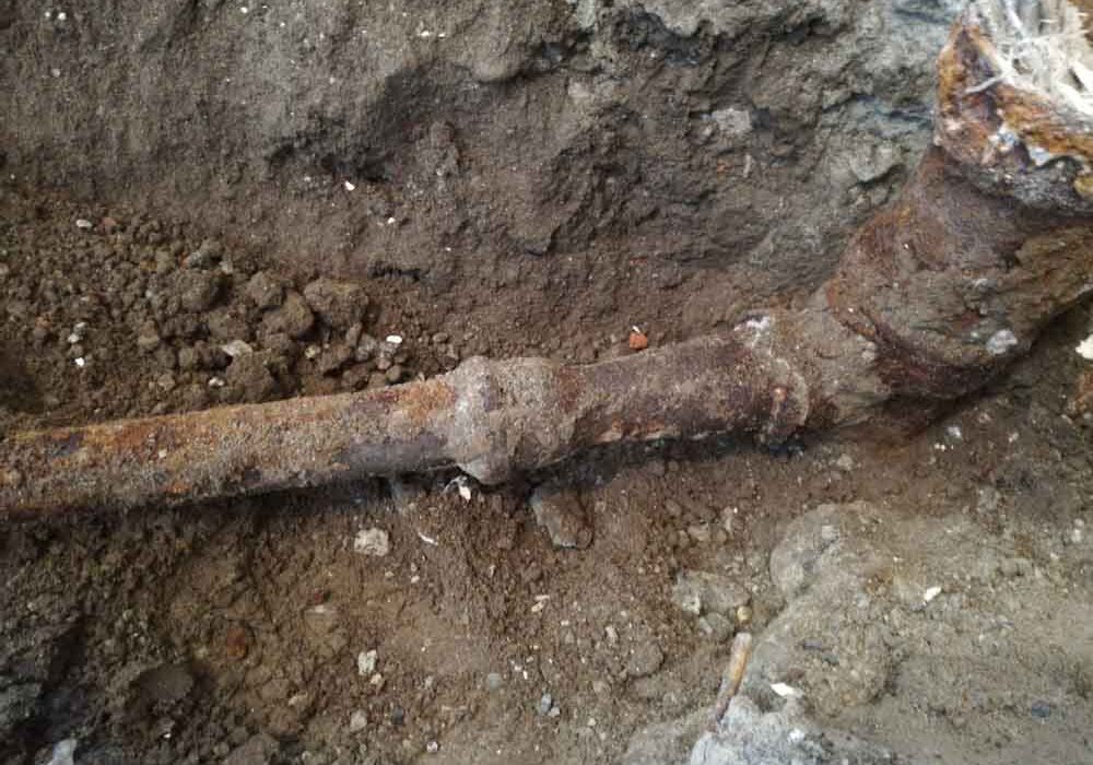 Damaged sewer lines